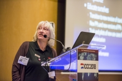 ICCC2018 172