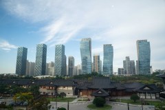 DSC03080